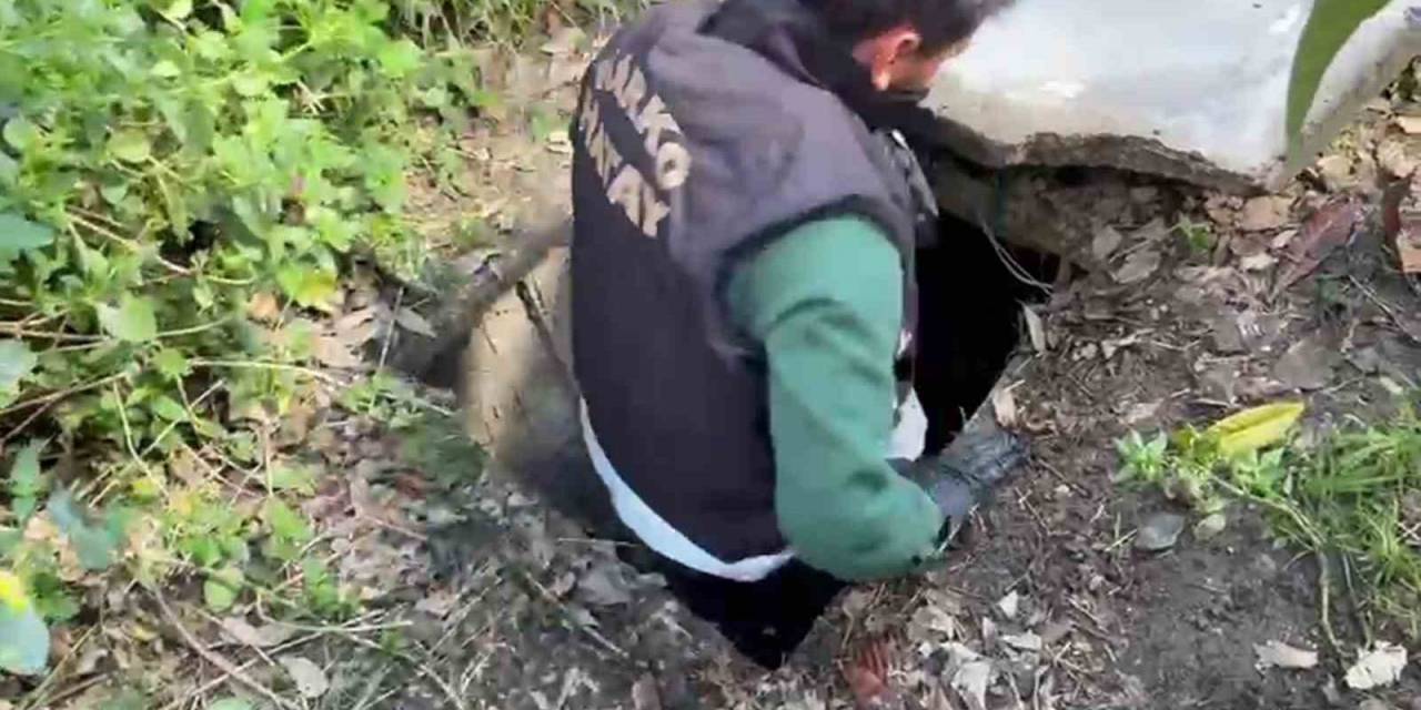 Sığınakta Kurduğu Sistemle Kenevir Yetiştirdi