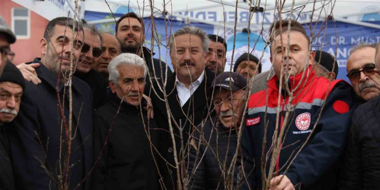 Melikgazi’de 535 Bin Metrekare Meyve Bahçesi Olacak
