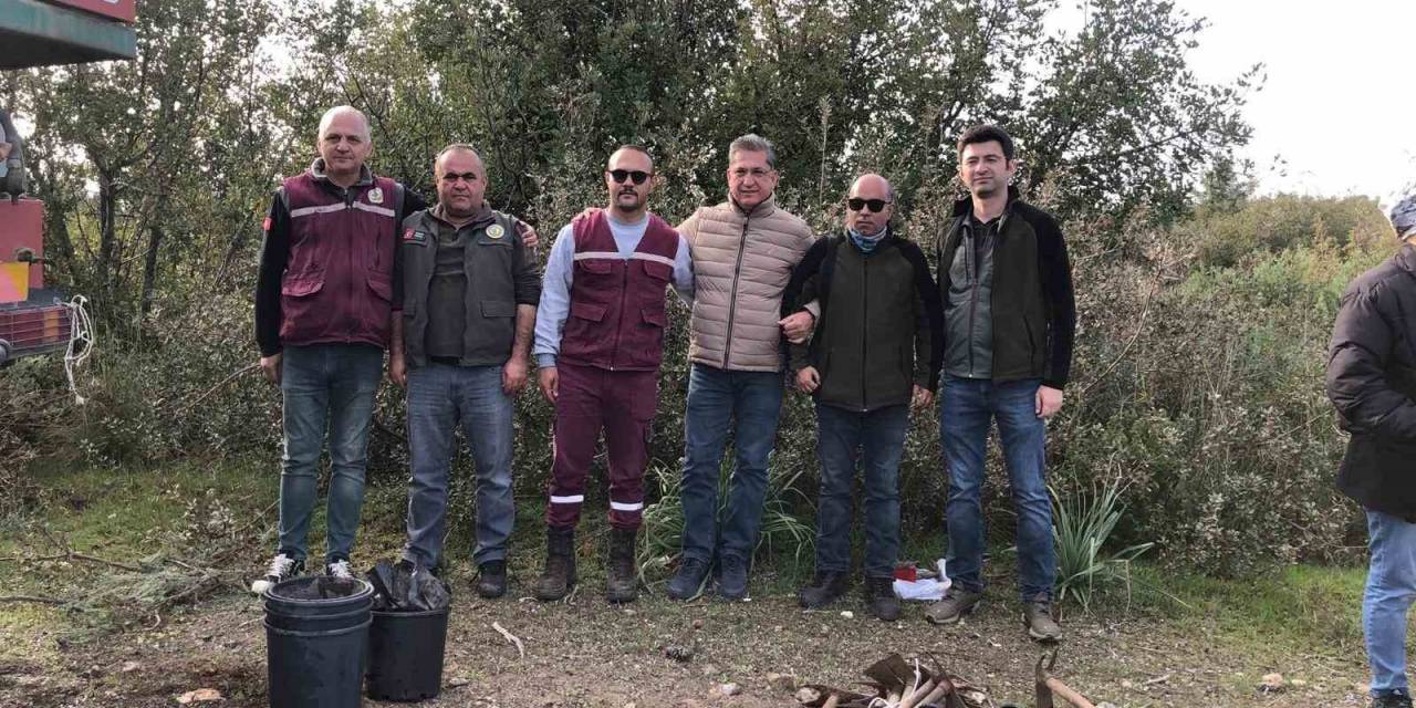 Datça’da Gelecek İçin Fidan Diktiler