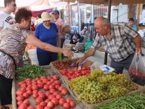 Organik Tarım Çiftçinin Umudu Oldu