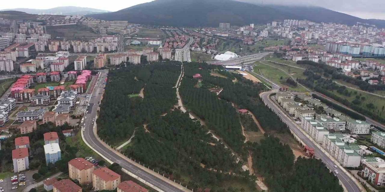 Pendik Korusu Hizmete Açıldı