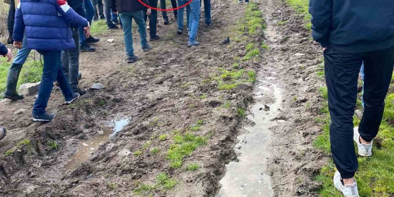 Balık Tutarken Dicle Nehri’ne Düşen Yaşlı Adamı Afad Kurtardı