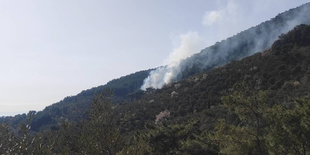 Kazdağları’nda Orman Yangını