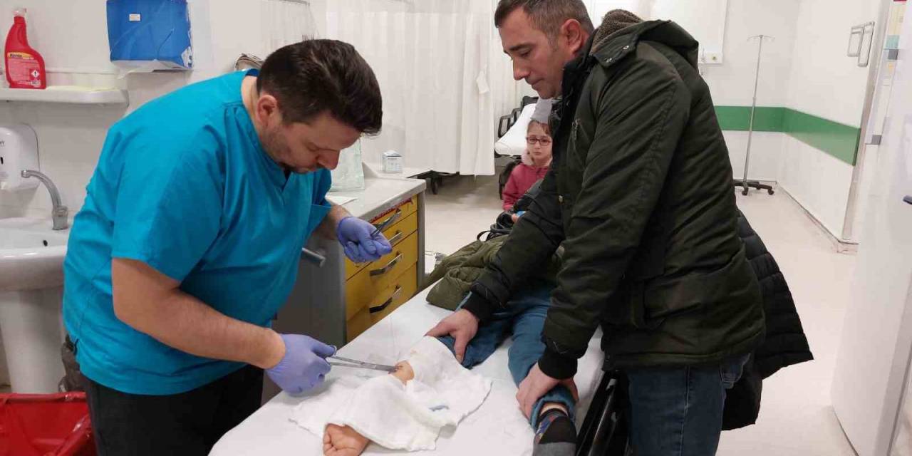 Samsun’da Köpek Dehşeti: 7 Yaşındaki Çocuk Hastanelik Oldu