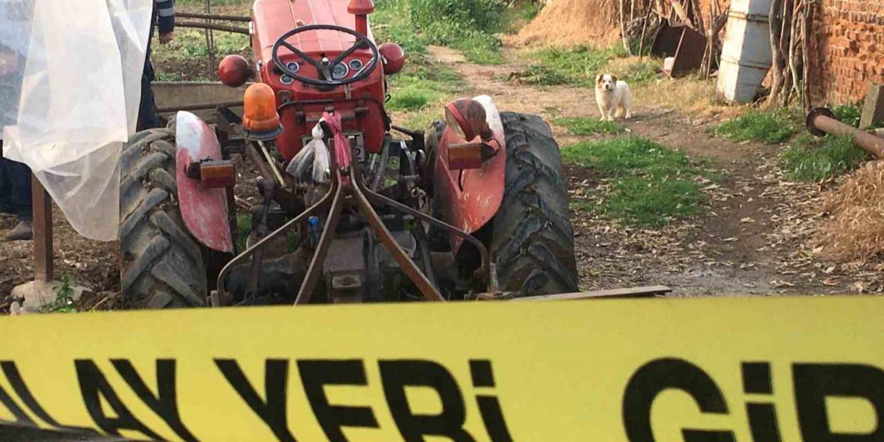Paşa Traktörün Altında Kalan Sahibinin Yanından Ayrılmadı