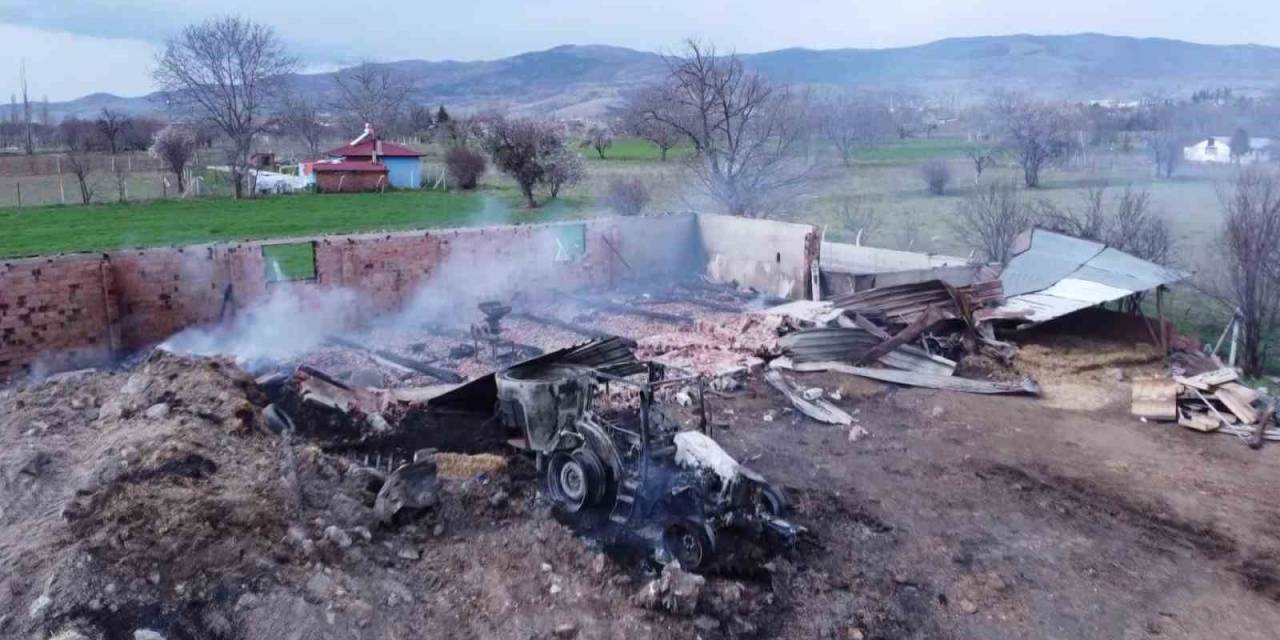 Amasya’da Çiftlikte Çıkan Yangında 150’den Fazla Hayvan Telef Oldu
