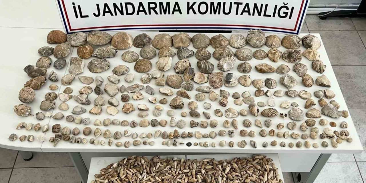 Karaman’da Bin 780 Adet Bitki Ve Hayvan Fosili Ele Geçirildi