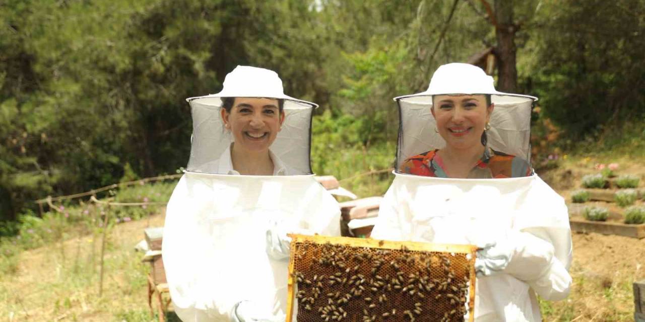 Ramazan Ayı Beslenme Zincirinde Propolis Ve Polen Tavsiyesi