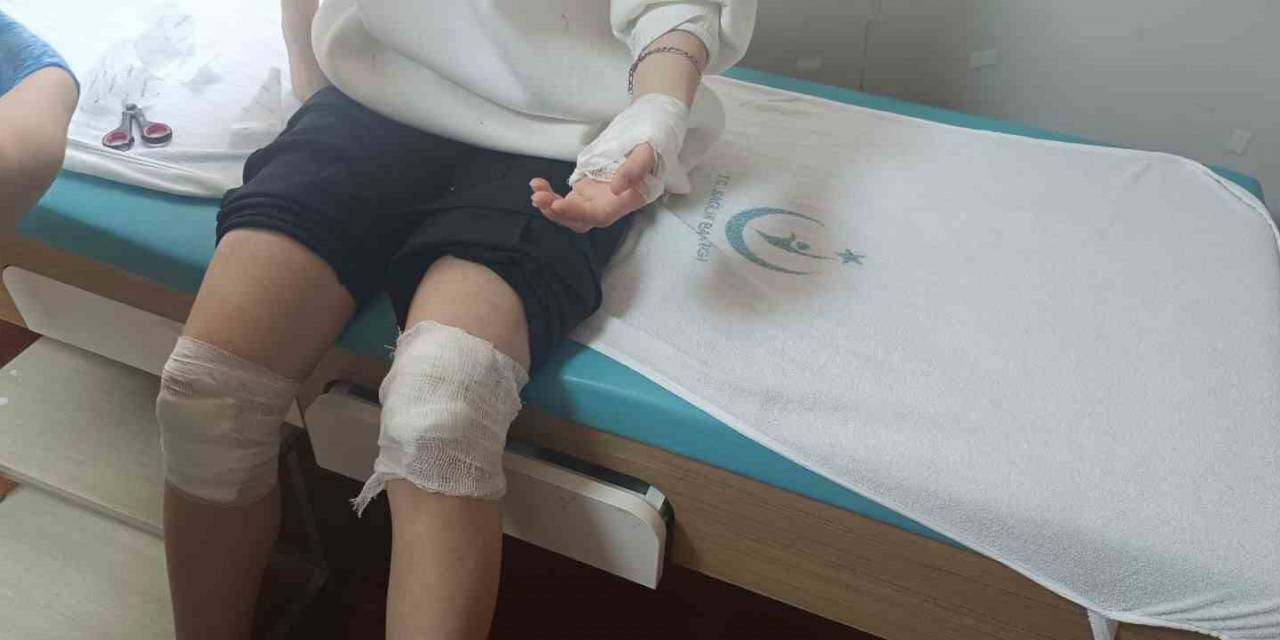 Sokak Köpeklerinin Saldırısına Uğrayan 17 Yaşındaki Kız Yaralandı