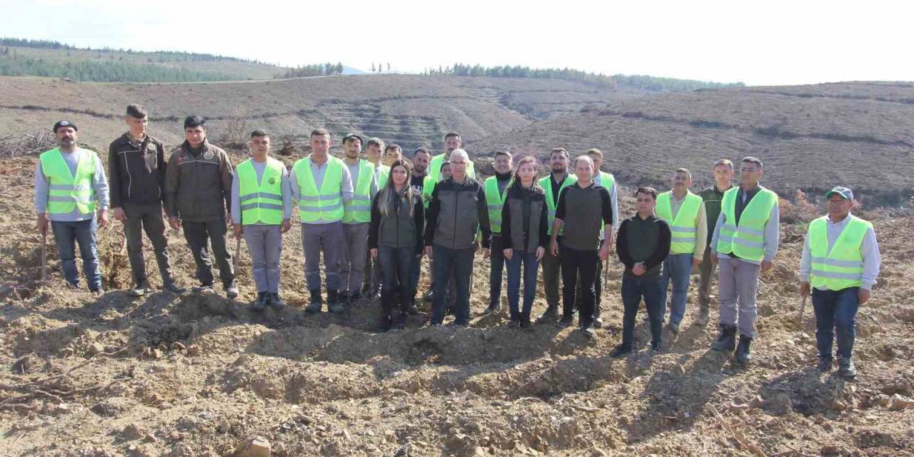 Büyük Yangının Simsiyah İzleri Silindi, 8 Ayda 1 Milyon 651 Bin Fidan Dikildi