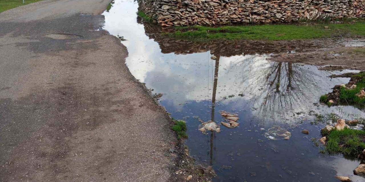 Mahalle Sakinleri Eksikliklerinin Giderilmesini Bekliyor