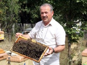 Yağışlar Bal Üretimini Yüzde 80 Düşürdü