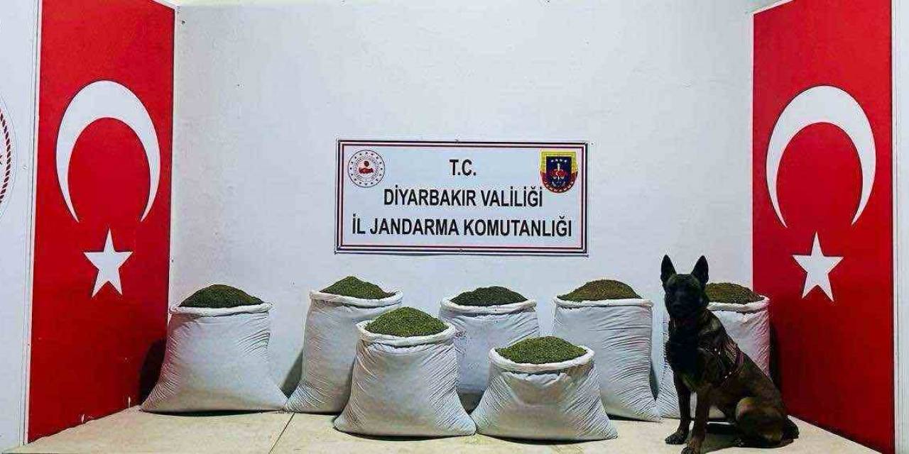 Diyarbakır’da 129 Kilo Toz Esrar Ele Geçirildi