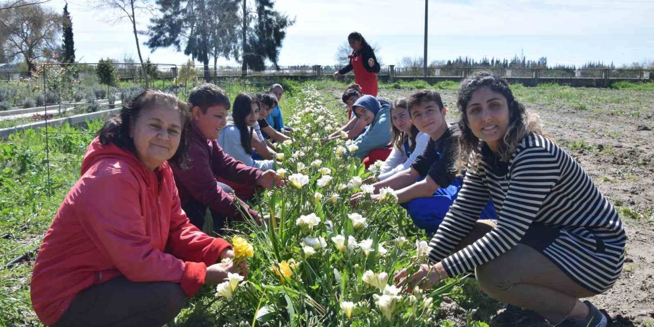 Tarım Lisesi Öğrencileri İlk Defa Kesme Çiçek Yetiştirdi