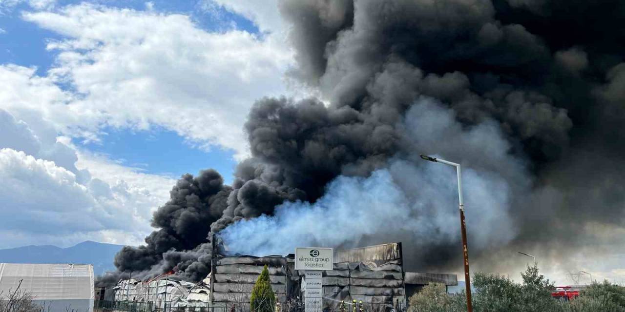 İzmir’de Lojistik Firmasının Soğuk Hava Deposunda Büyük Yangın