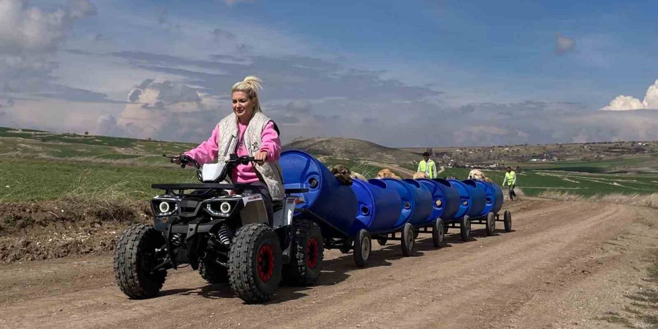 Ankaralı Hayvansever Engelli Köpekleri Varilden Yapılan Trenle Gezdiriyor