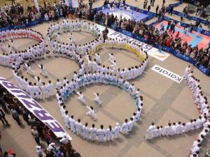 Karate Olimpiyat Yolunda
