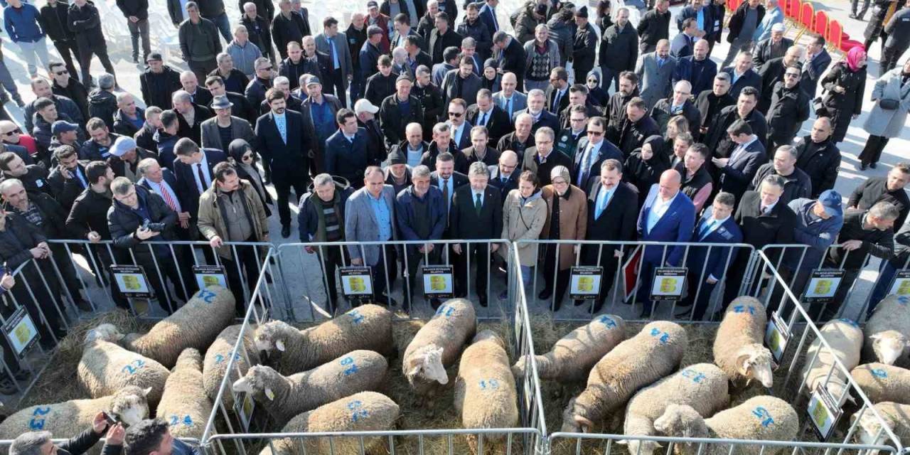 Bakan Yumaklı: "Balıkesir’in Potansiyeli, Bizim Bu Zamana Kadar Tahayyül Ettiklerimizin Daha Ötesinde"