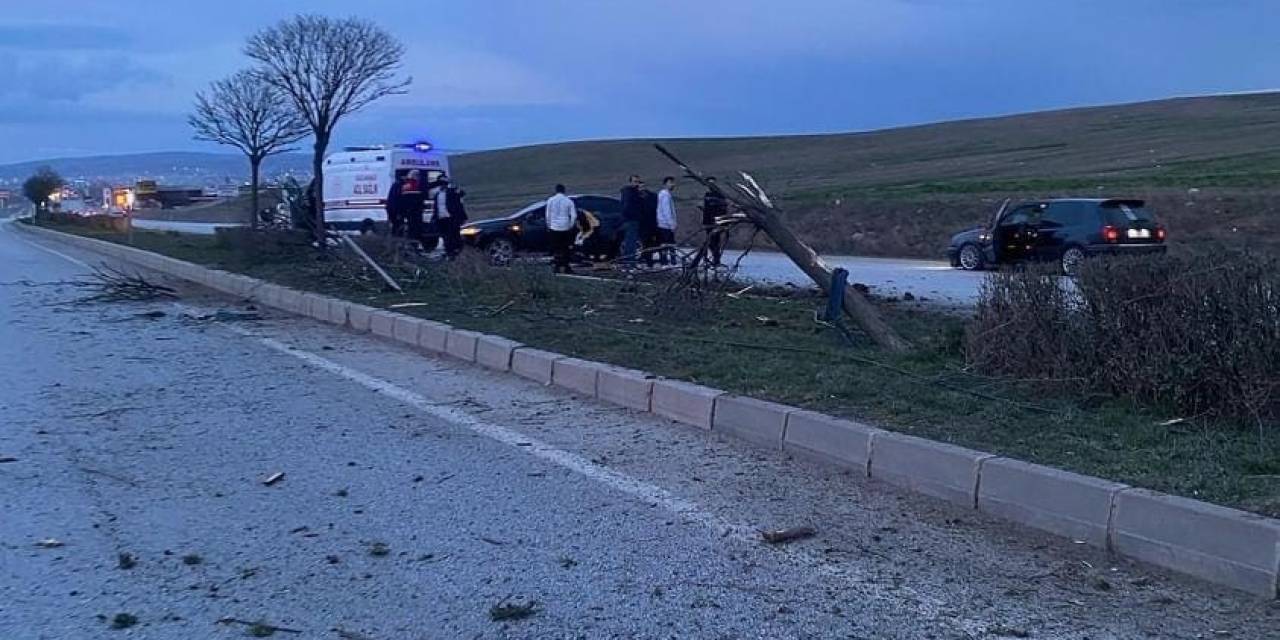 Önce Köpeğe Ardından Refüjde Bulunan Ağaçlara Çarptı: 1 Yaralı