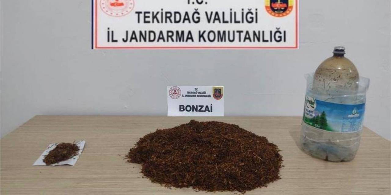 Bonzai, Esrar Ve Tabancalar Ele Geçirildi