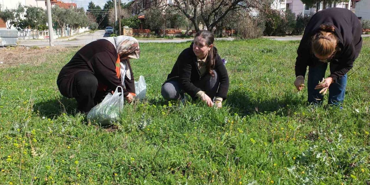 Balıkesir’de Ot Festivali Düzenlenmesi İstediler