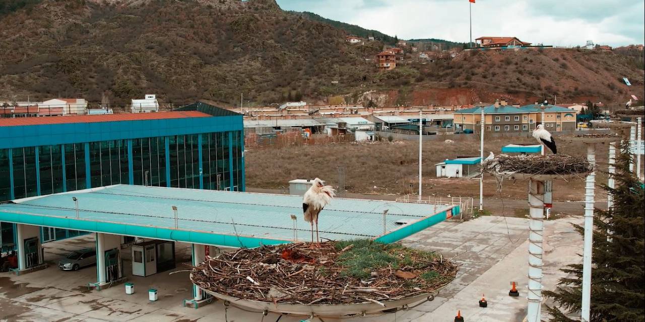 “Leylek Apartmanı” Sakinleri Yuvaya Erken Döndü