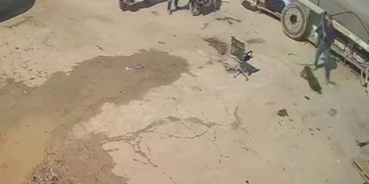 Köpeğe Saldırana Ev Hapsi, İzleyene Barınakta Çalışma Cezası Verildi