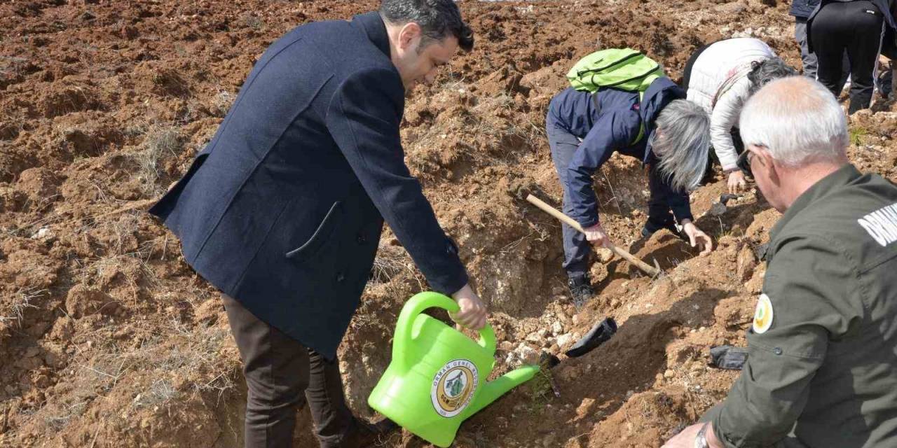 Fidanlar Gelecek Nesillere Yaşlıların Hatırasını Yaşatacak