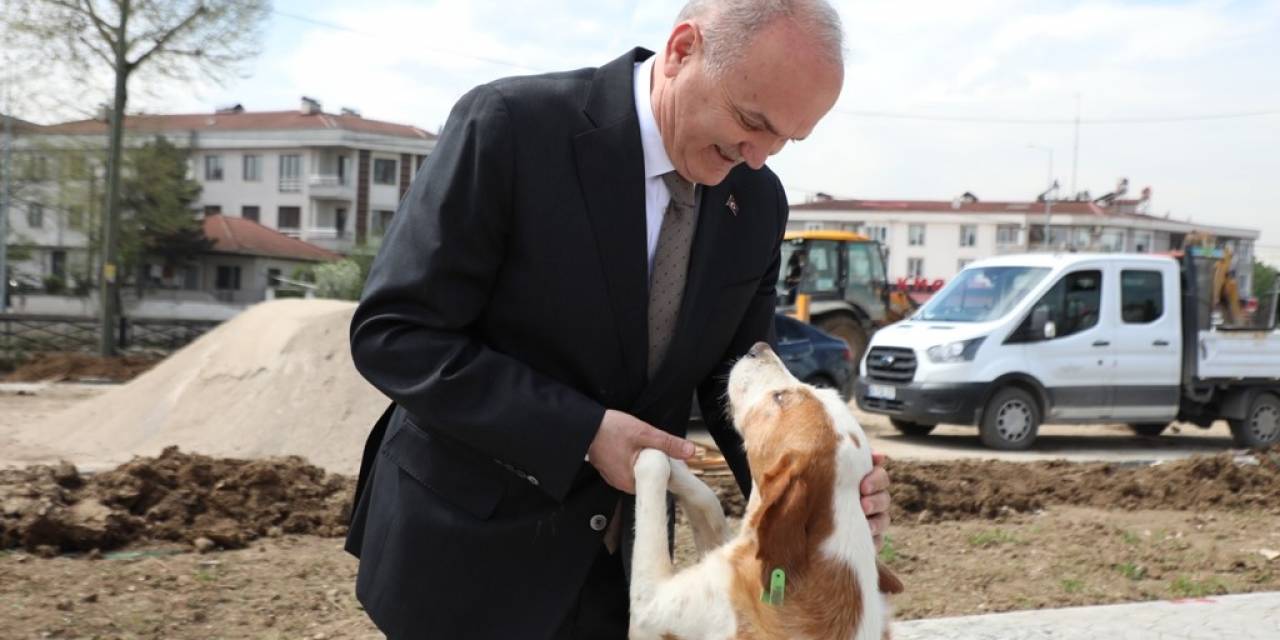 Sokaklarda Saldırgan Köpek Kalmayacak