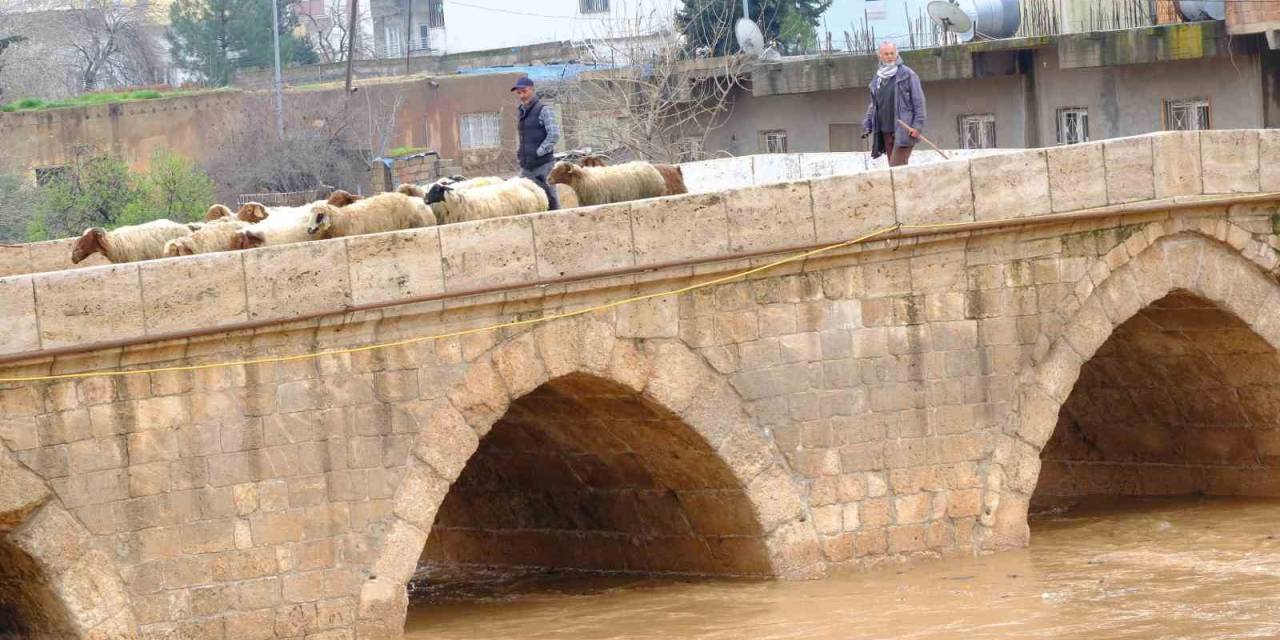 Mardin’de Yağışla Birlikte Tarihi Dunaysır Köprüsü’nün Debisi Yükseldi