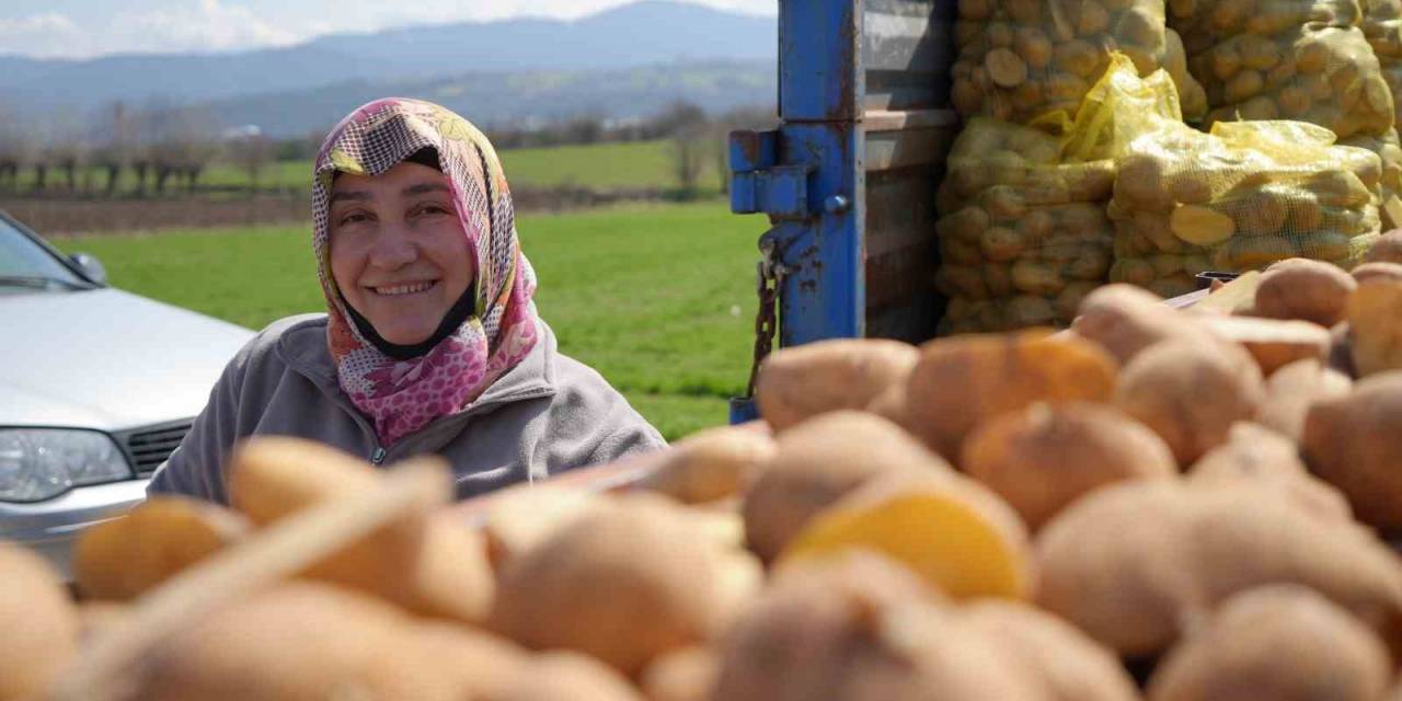 "patates Diyarı"nda Çiftçiler Ekim Mesaisinde