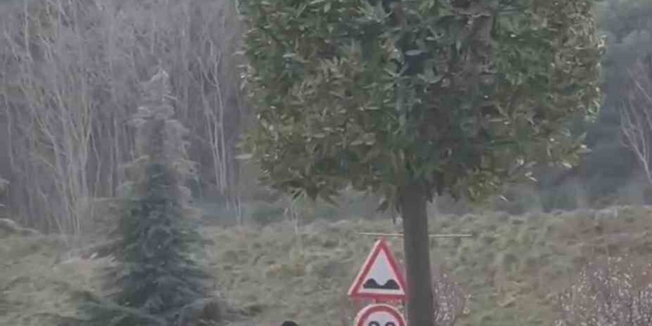 İstanbul’da İlginç Kavgalar Kamerada: Birbirlerinin Saçlarını Bırakmadılar, Vale İle Taksici Kavga Etti