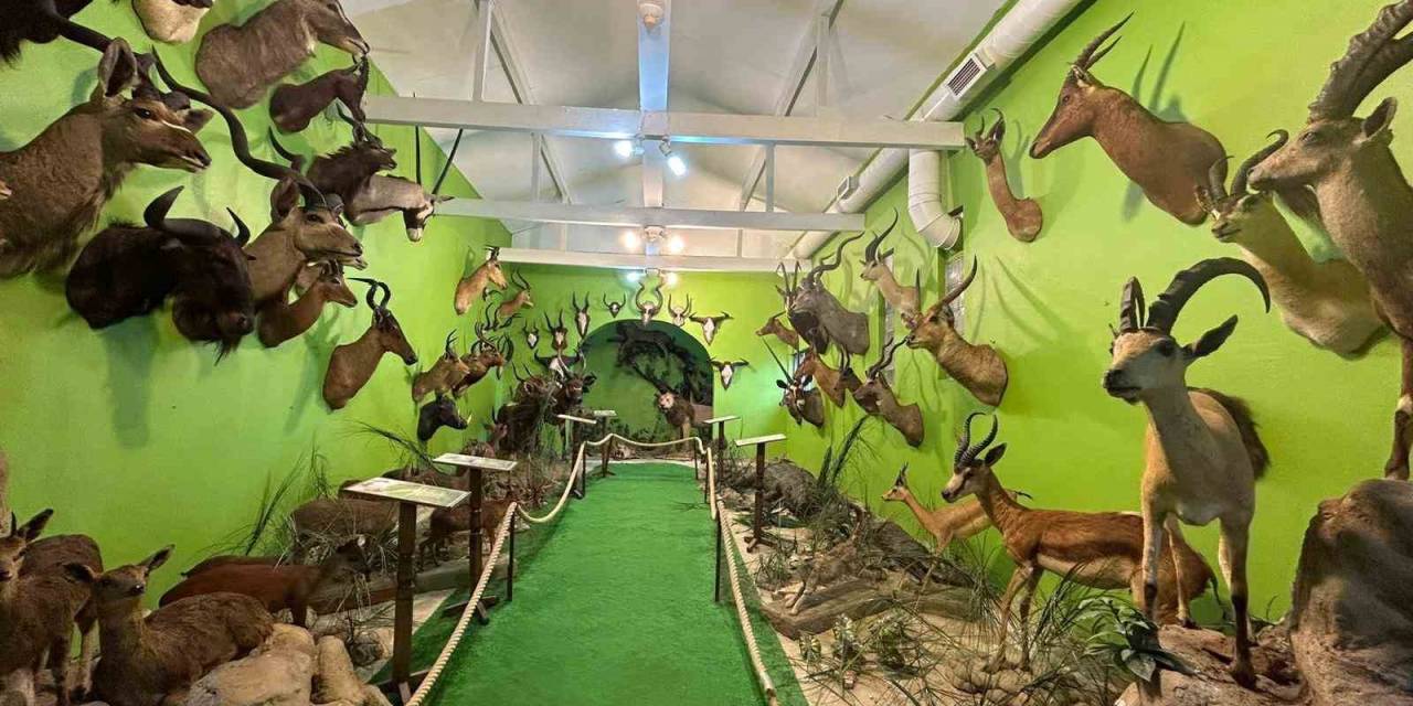 İstanbul’da Yaban Hayvanlarına Ait Yüzlerce Tahnitin Ele Geçirildiği Operasyonunun Detayları Ortaya Çıktı