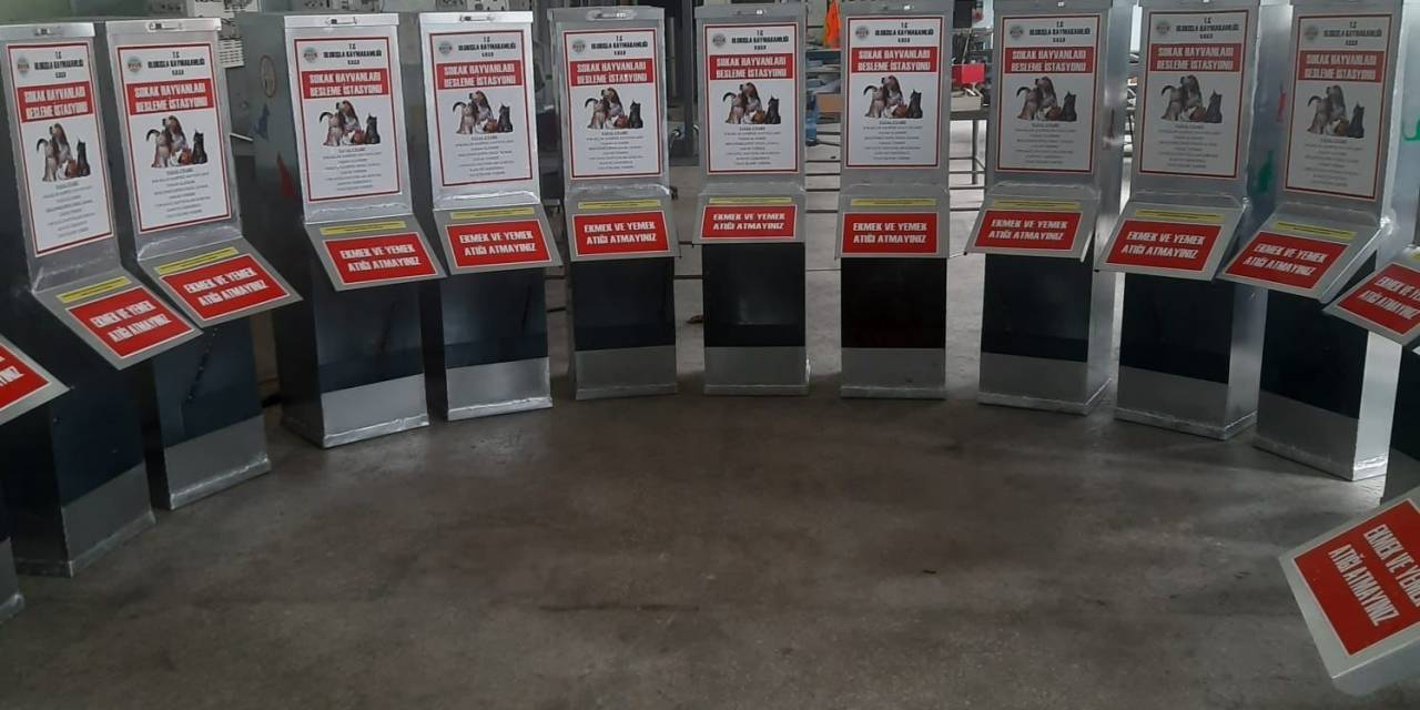 Niğde’de Sokak Hayvanları İçin Besleme İstasyonları Kuruldu
