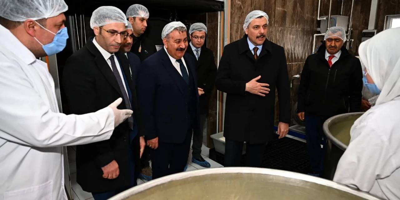 Günde 5 Ton Çiğ Süt İşleniyor