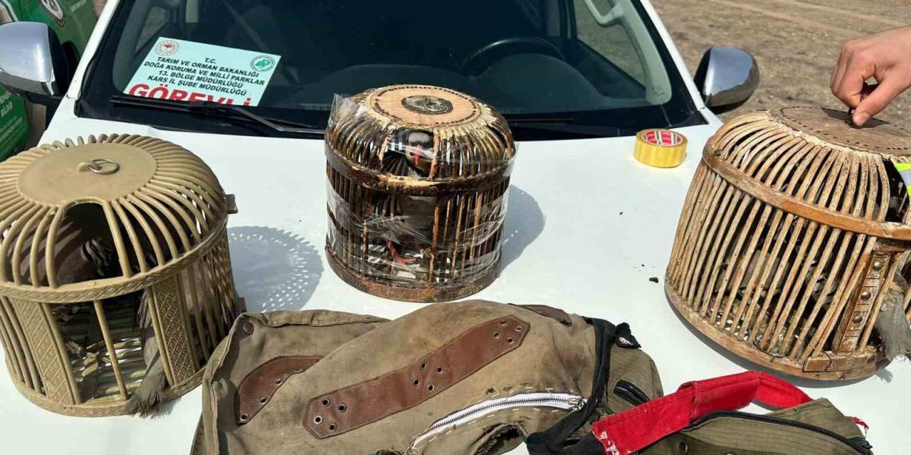 Kars’ta Kaçak Avcılara Ceza Yağdı