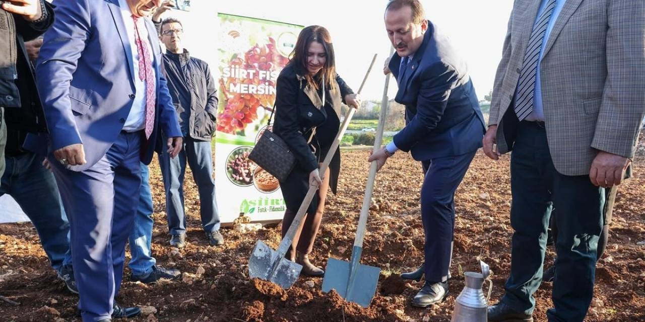 Mersin’de ’siirt Fıstığı Mersin’de Projesi Kapsamında Fidan Dağıtıldı