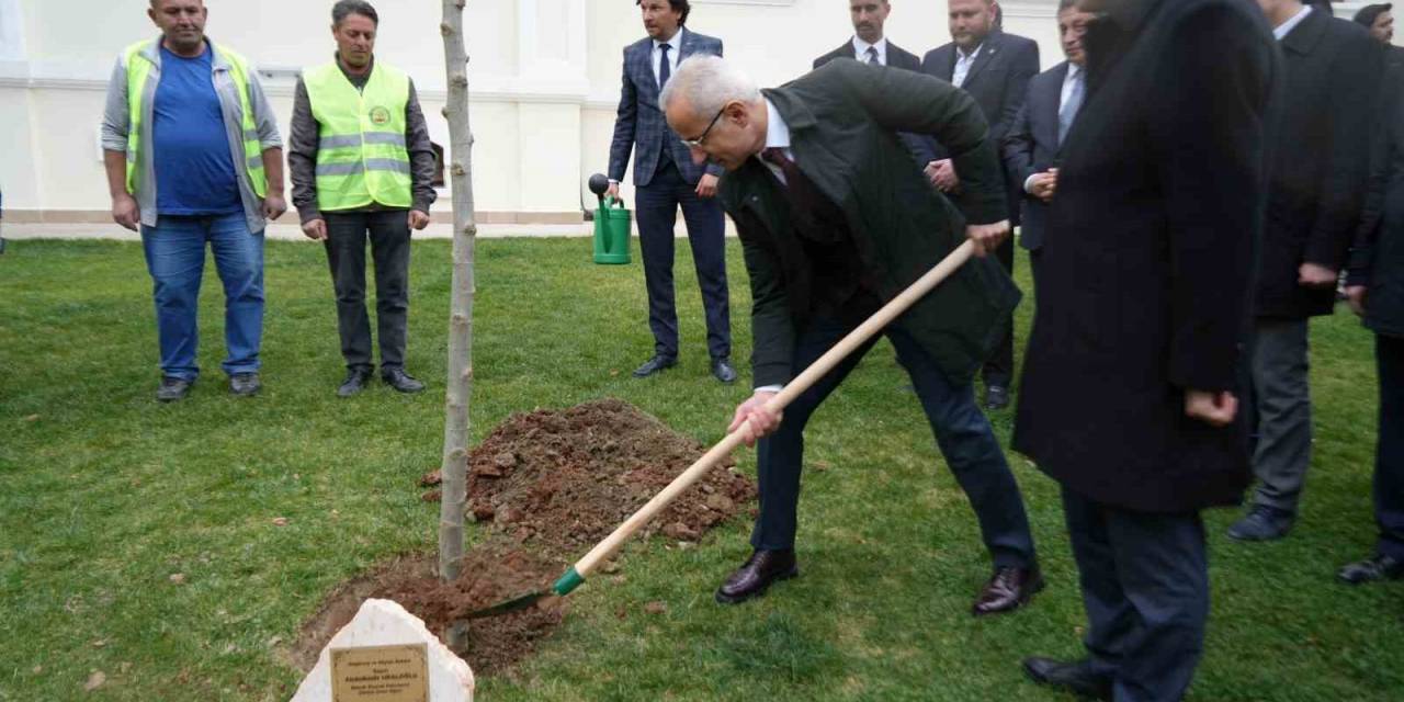 Bakan Uraloğlu Bilecik’te Çınar Fidanı Dikti