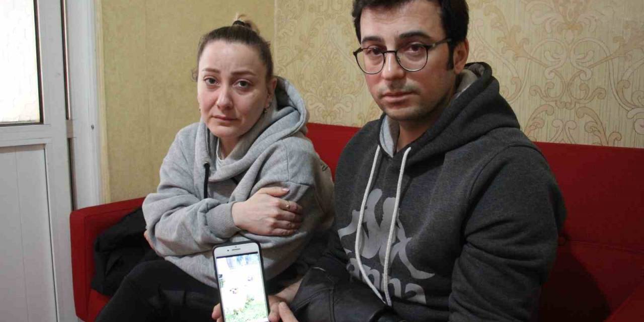 Eğitime Gönderdikleri Can Dostlarının Cansız Bedenlerini Teslim Aldılar