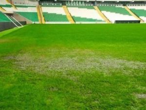 Timsah Arena Göle Döndü