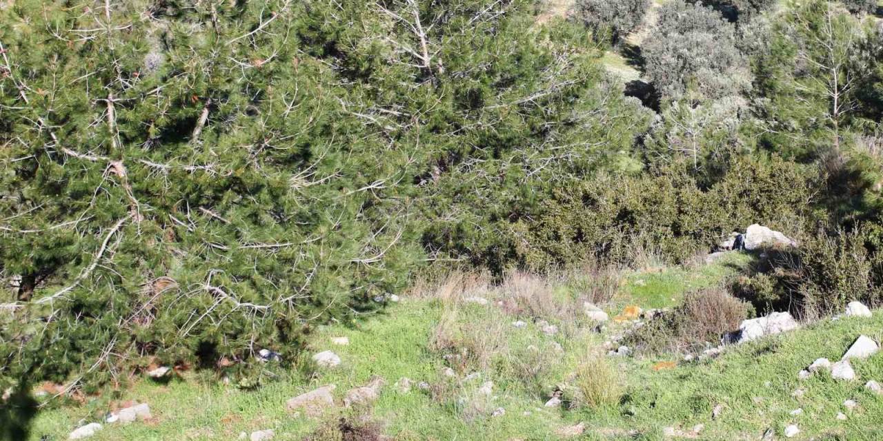 Kayıp İşçinin Arandığı Bölgede İnsan Kemikleri Bulundu