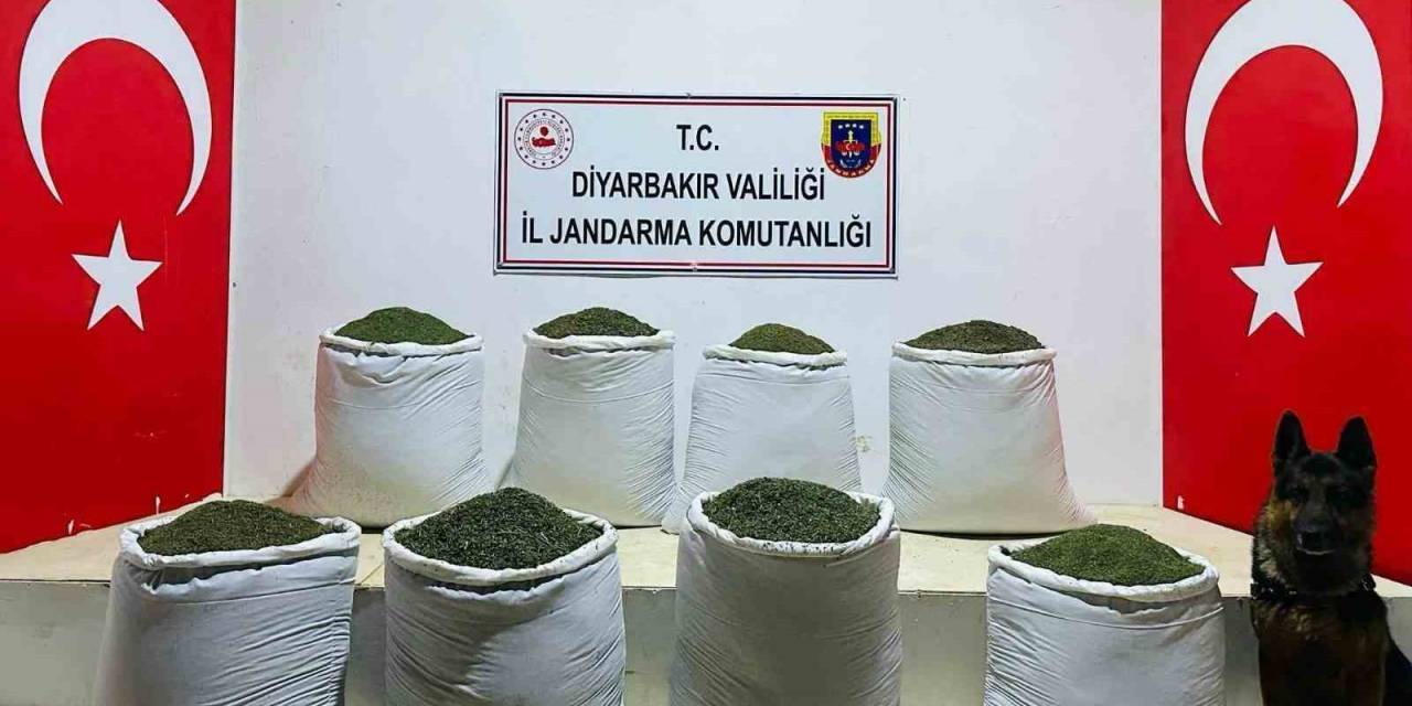 Diyarbakır’da 169 Kilo Esrar Ele Geçirildi