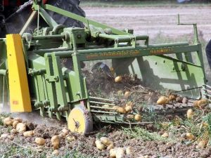 Kastamonu’da Patates Tarla Günü Düzenlendi