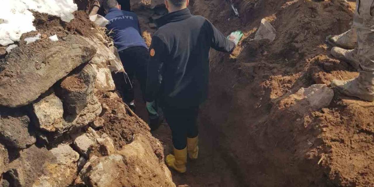 Ağrı’da Hayvanlar Çöken Çatının Altında Kaldı