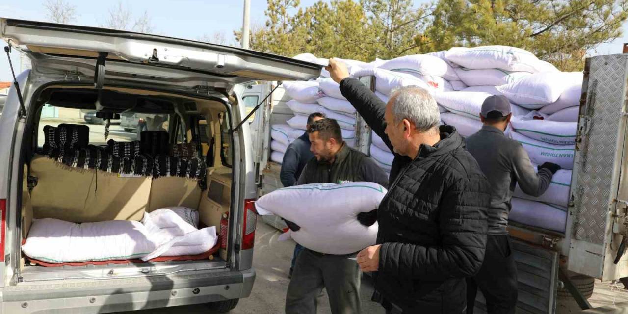 Seyitgazi Bu Sene Yerli Azkan Nohut Tohumu Ekecek