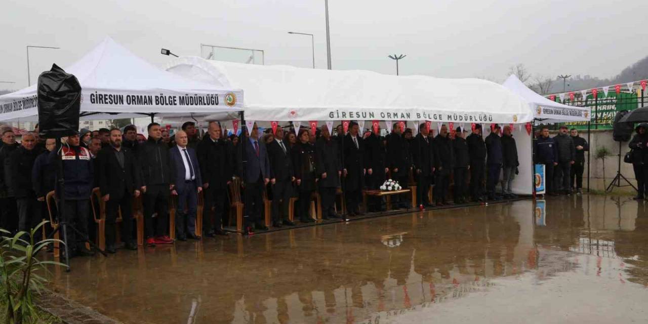 Giresun’da Dünya Ormancılık Günü Ve Orman Haftası Kutlamaları