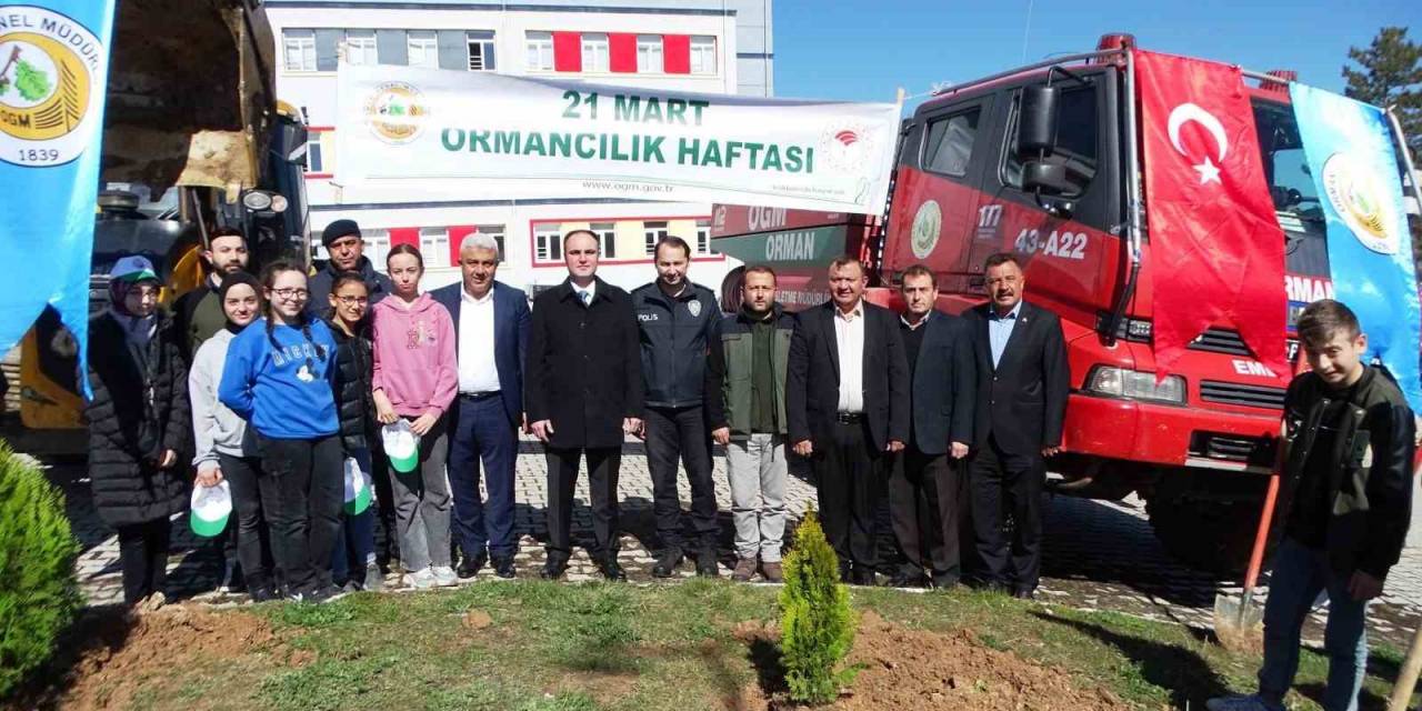 Hisarcık’ta Orman Haftası Etkinlikleri