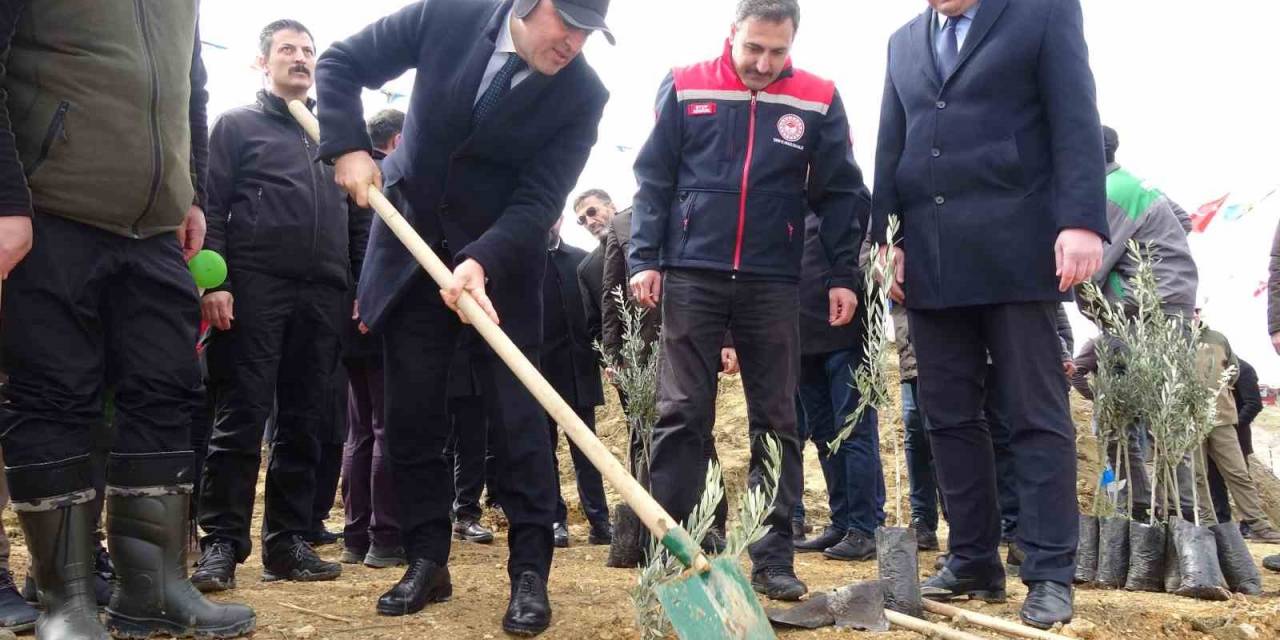 Dünya Ormancılık Günü’nde Huzurevi Bahçesine 2 Bin Fidan Dikildi