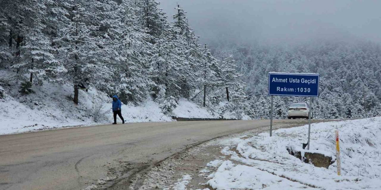 Çiçek Açan Ağaçlar Karla Kaplandı