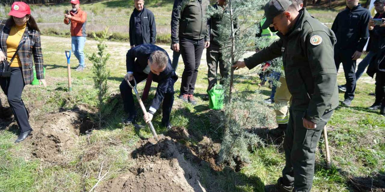 Kazdağları’nda Fidanlar Toprak İle Buluştu